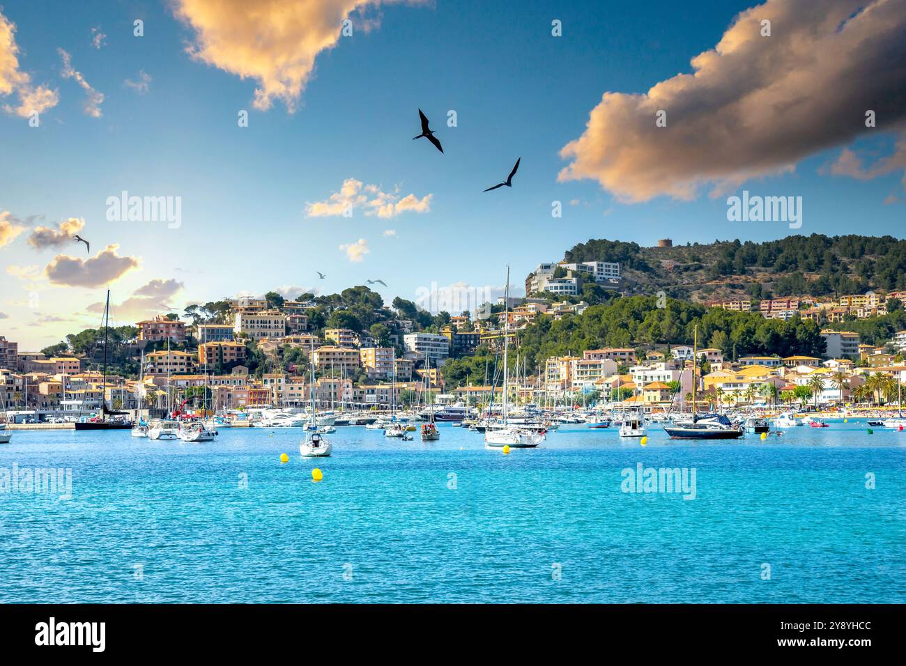 Port de Soller, Majorque, Espagne Banque D'Images