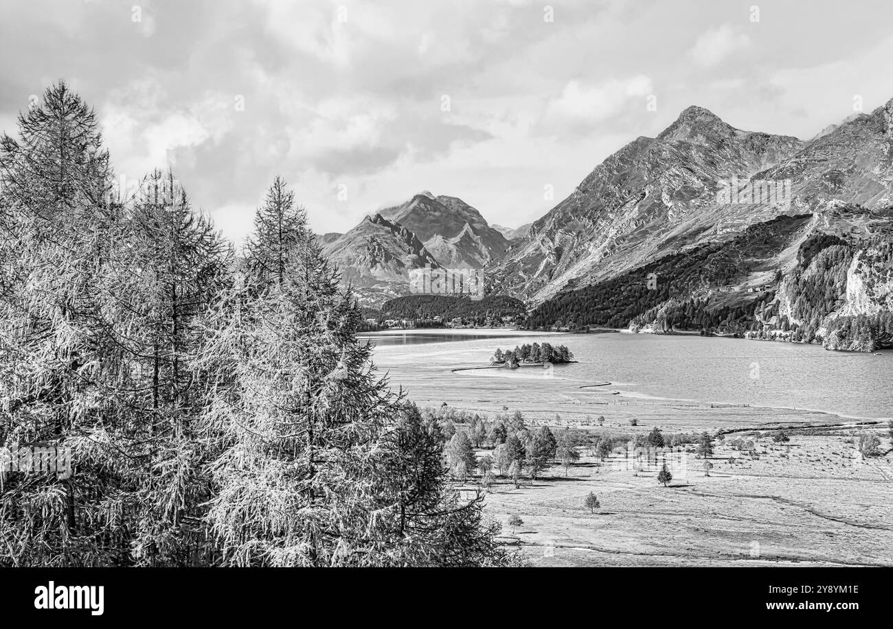 Paysage noir et blanc au lac de Sils, Engadine, Grisons, Suisse Banque D'Images