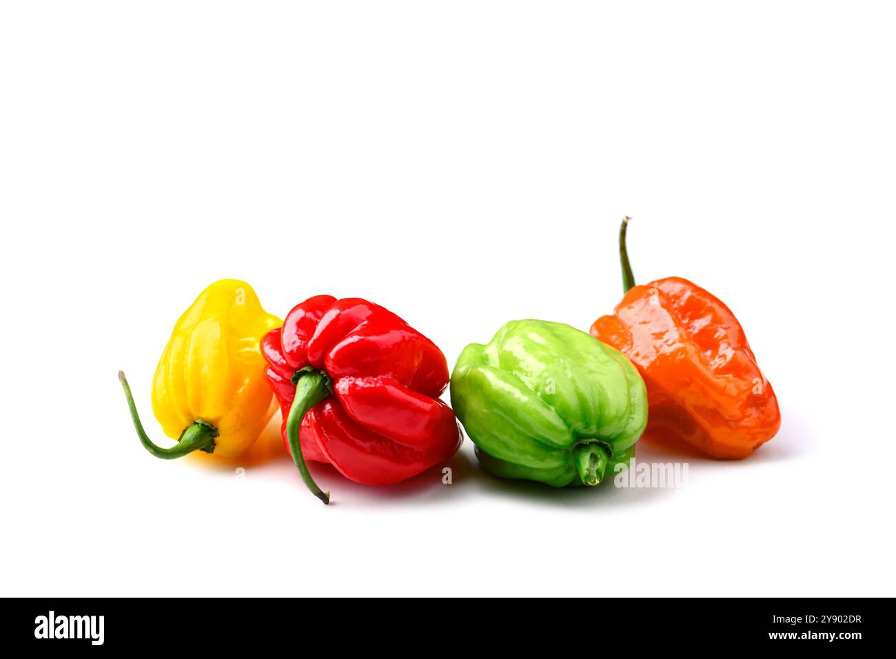 Poivrons habanero multicolores mûrs (capsicum chinense) isolés sur fond blanc. Poivrons mexicains très chauds Banque D'Images