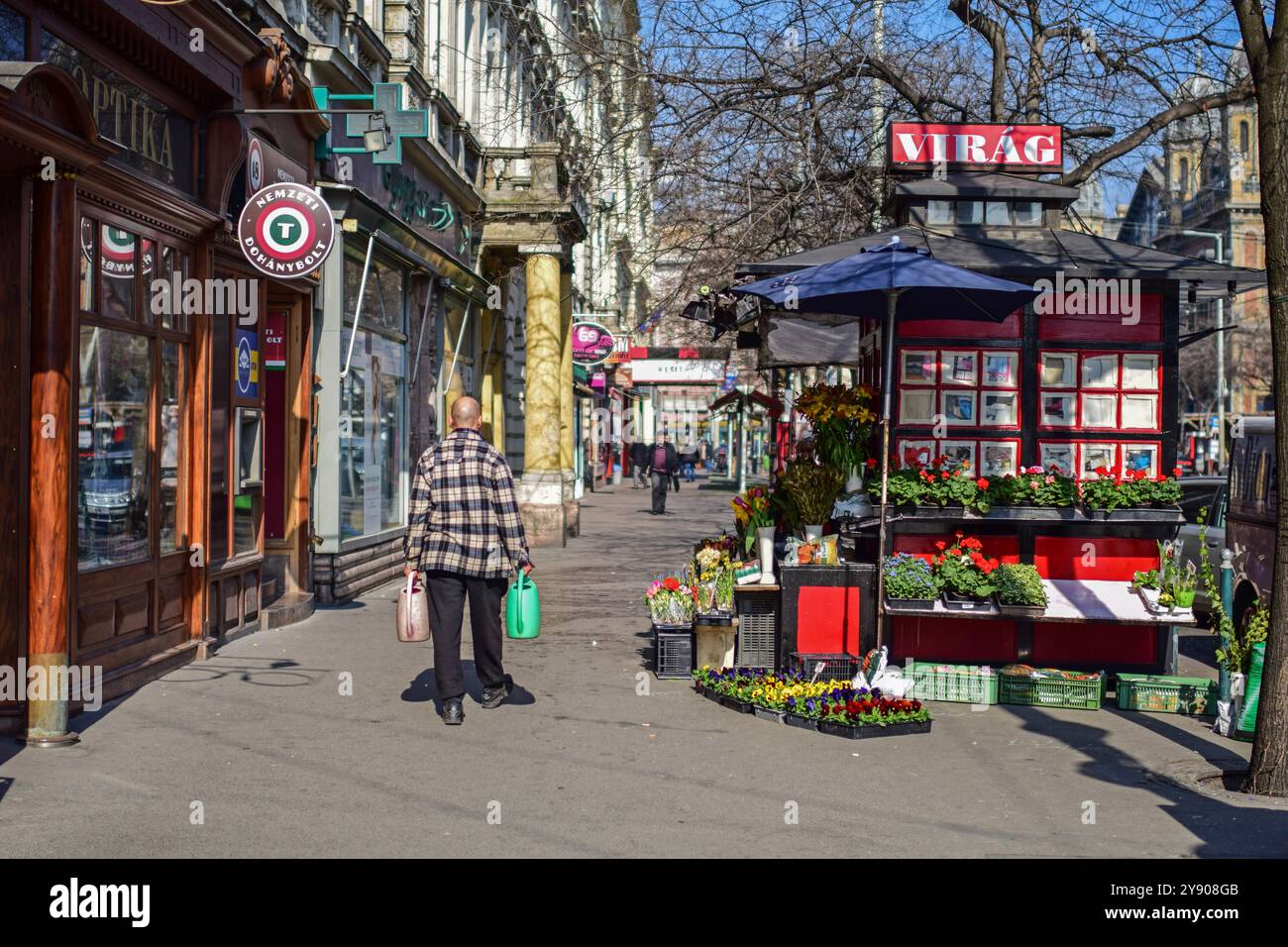 Magasin de fleurs Virag dans les rues de Budapest, Hongrie Banque D'Images