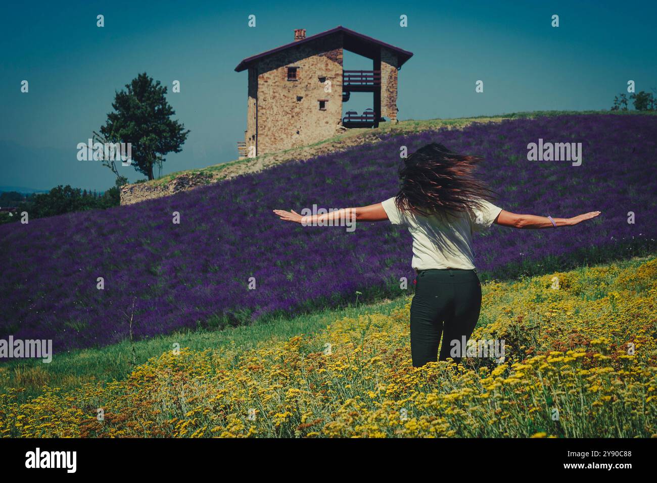 Fille dansant dans les champs de lavande. Banque D'Images