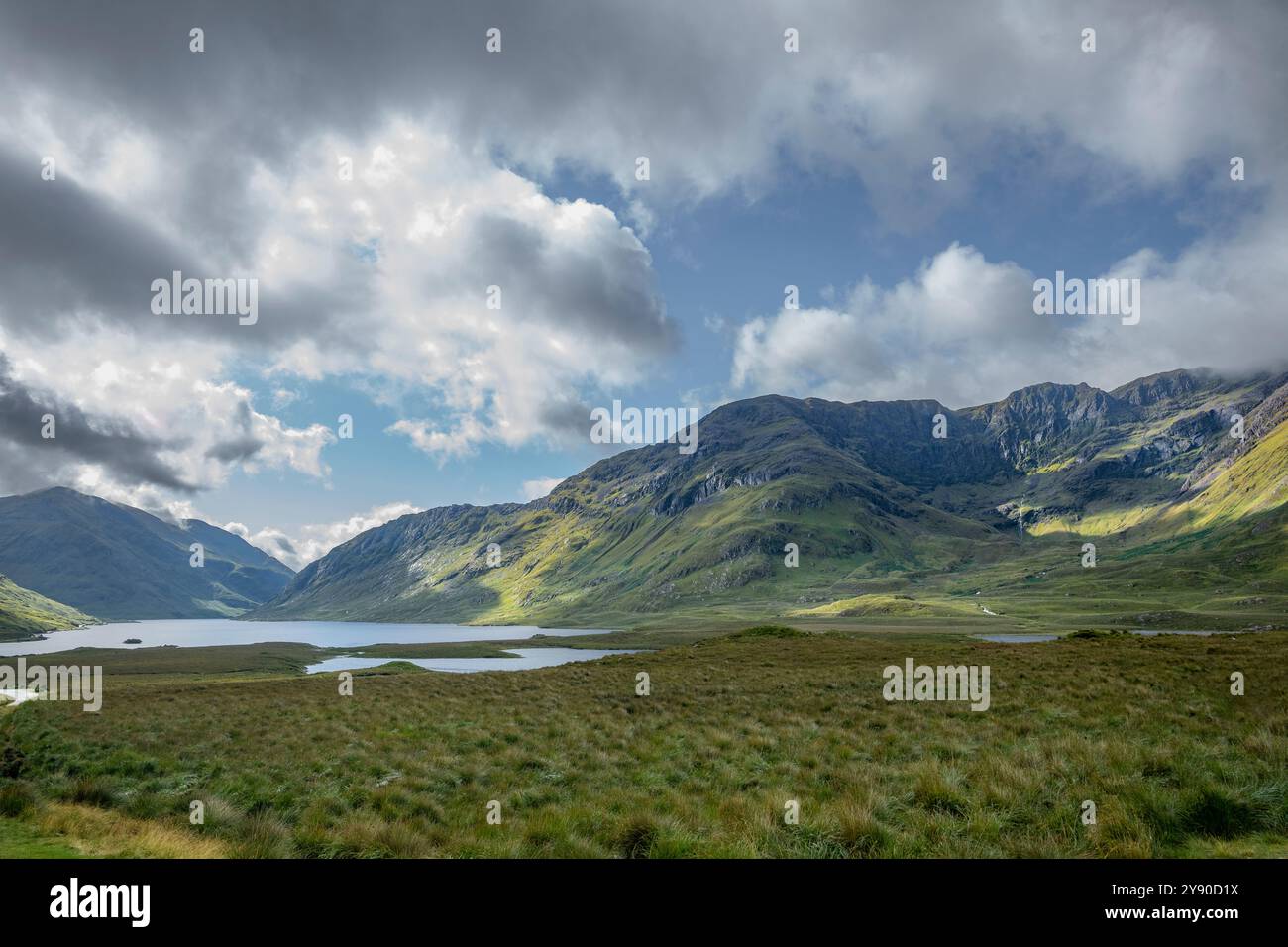 Jeu de lumière et d'ombre à travers l'herbe verte luxuriante des pentes de montagne à Doo Lough Valley, Glencullin Mountain, comté de Mayo, Irlande Banque D'Images
