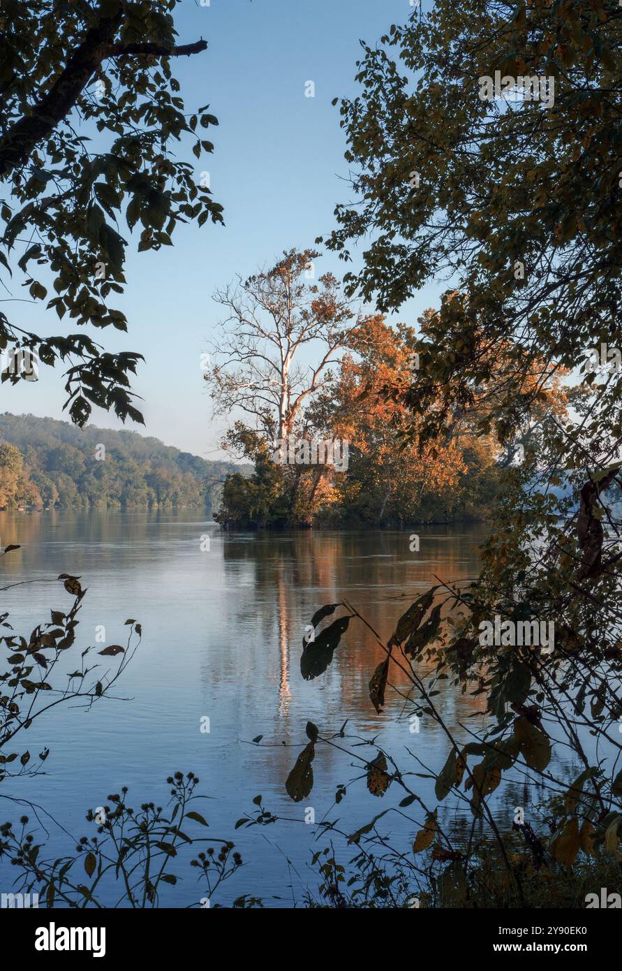 Couleurs d'automne reflétées dans le fleuve Potomac Banque D'Images