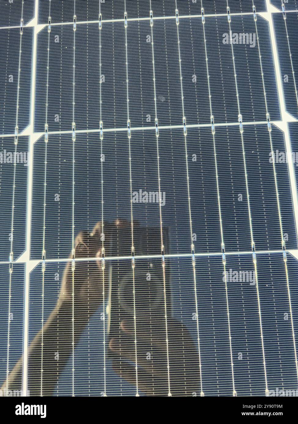 Les modules photovoltaïques avec de la poussière doivent être nettoyés, les zones désertiques ont reçu des tempêtes de sable pendant les saisons et l'année à plusieurs reprises qui couvre le module et le preven Banque D'Images
