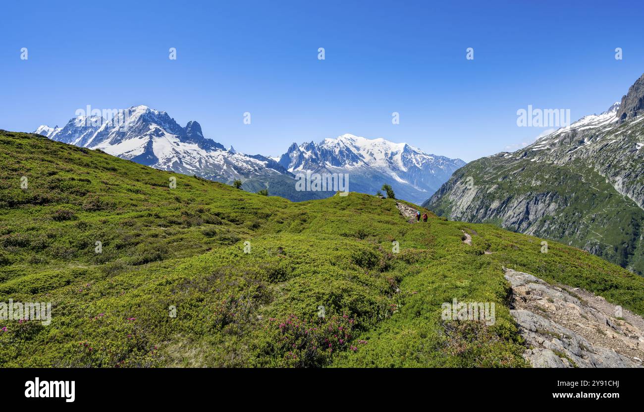 Panorama de montagne avec sommets glaciaires, aiguille verte avec aiguille du midi et Mont Blanc, randonnée à Aiguillette des Posettes, Chamonix, Haut Banque D'Images