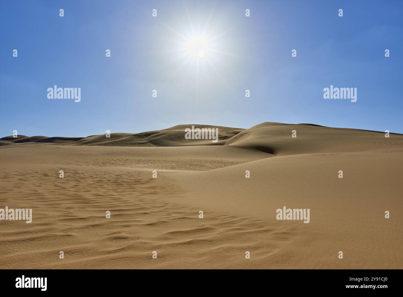 Paysage désertique ensoleillé avec des dunes de sable sous un ciel bleu clair, Matruh, Grande mer de sable, désert libyen, Sahara, Egypte, Afrique du Nord, Afrique Banque D'Images