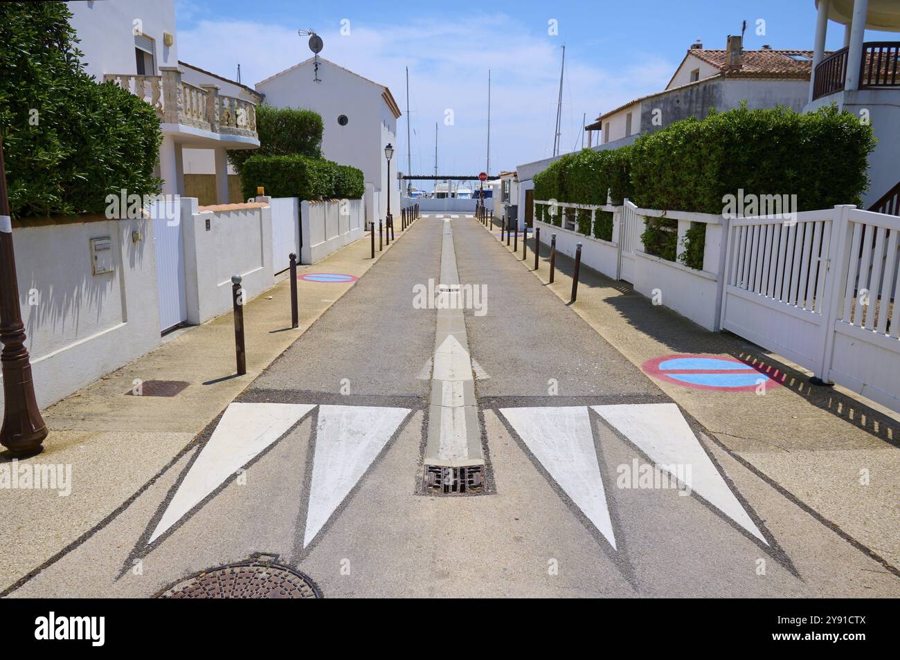 Route étroite avec des marquages blancs entre maisons blanches avec des haies vertes et un ciel ensoleillé, été, Saintes-Maries-de-la-mer, Camargue, France, Europ Banque D'Images