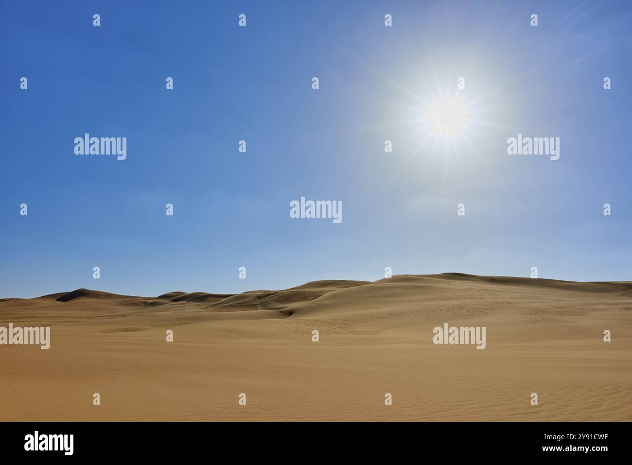 Paysage désertique ensoleillé avec des dunes de sable sous un ciel bleu clair, Matruh, Grande mer de sable, désert libyen, Sahara, Egypte, Afrique du Nord, Afrique Banque D'Images