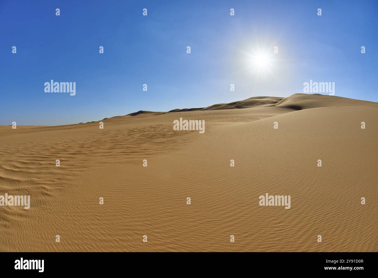 Paysage désertique ensoleillé avec des dunes de sable sous un ciel bleu clair, Matruh, Grande mer de sable, désert libyen, Sahara, Egypte, Afrique du Nord, Afrique Banque D'Images