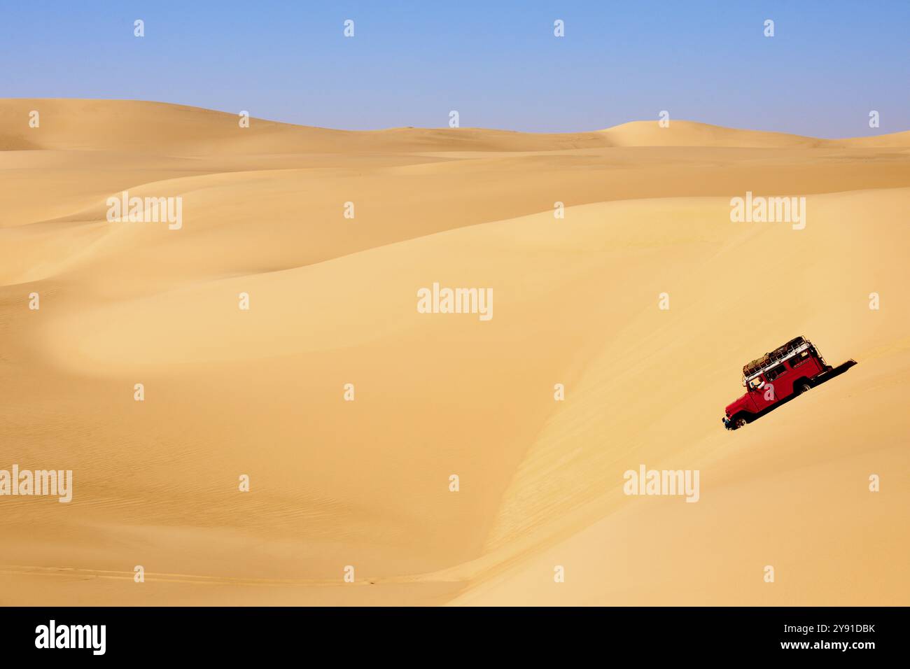 Véhicule hors route conduisant à travers de vastes dunes de sable sous un ciel dégagé dans un paysage désertique sec et ensoleillé, Matruh, Grande mer de sable, désert libyen, Sahara Banque D'Images