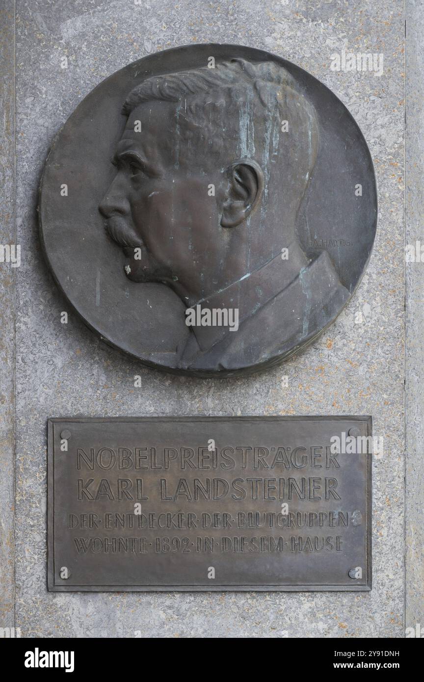 Plaque commémorative du prix Nobel Karl Landsteiner, inventeur des groupes sanguins, Wuerzburg, Unterfanken, Bavière, Allemagne, Europe Banque D'Images