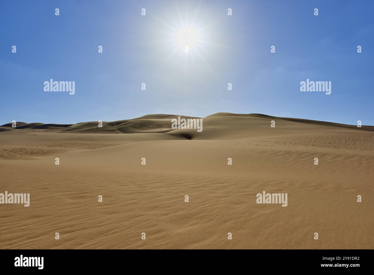 Paysage désertique ensoleillé avec des dunes de sable sous un ciel bleu clair, Matruh, Grande mer de sable, désert libyen, Sahara, Egypte, Afrique du Nord, Afrique Banque D'Images