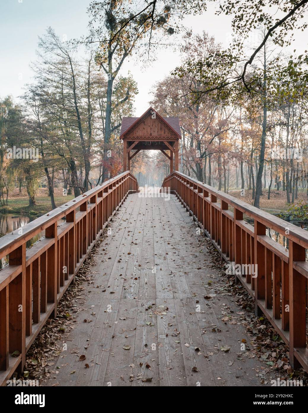 Pont en bois sur le lac forestier. Matin dans les bois. Arbres couverts d'un mince brouillard en arrière-plan. Banque D'Images