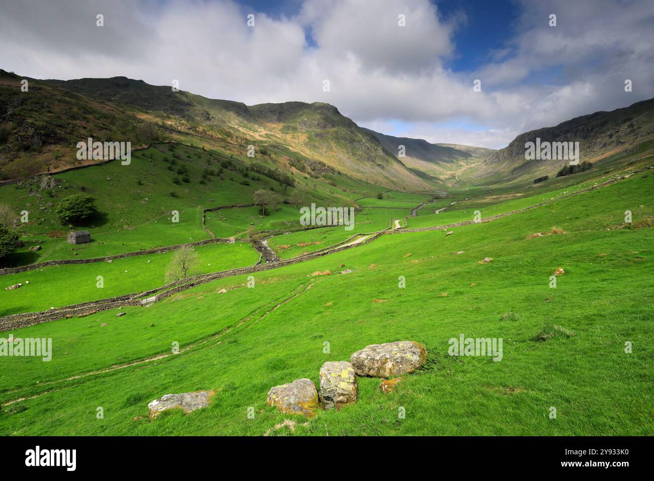 Vue estivale le long de la vallée de Sadgill, village de Sadgill, Longsleddale, Lake District National Park ; Cumbria ; Angleterre Banque D'Images