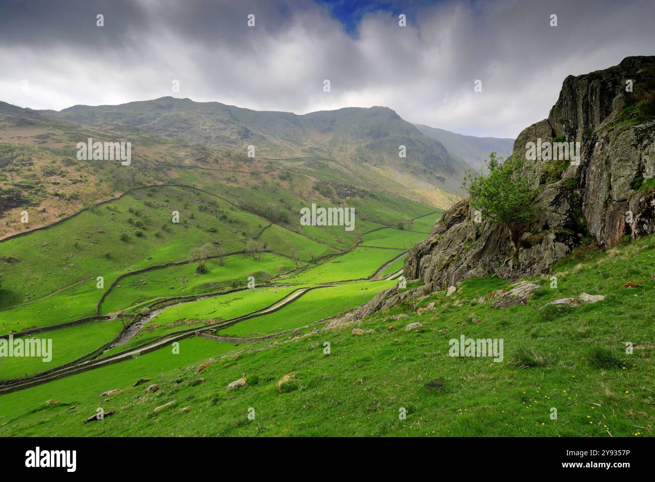 Vue estivale le long de la vallée de Sadgill, village de Sadgill, Longsleddale, Lake District National Park ; Cumbria ; Angleterre Banque D'Images