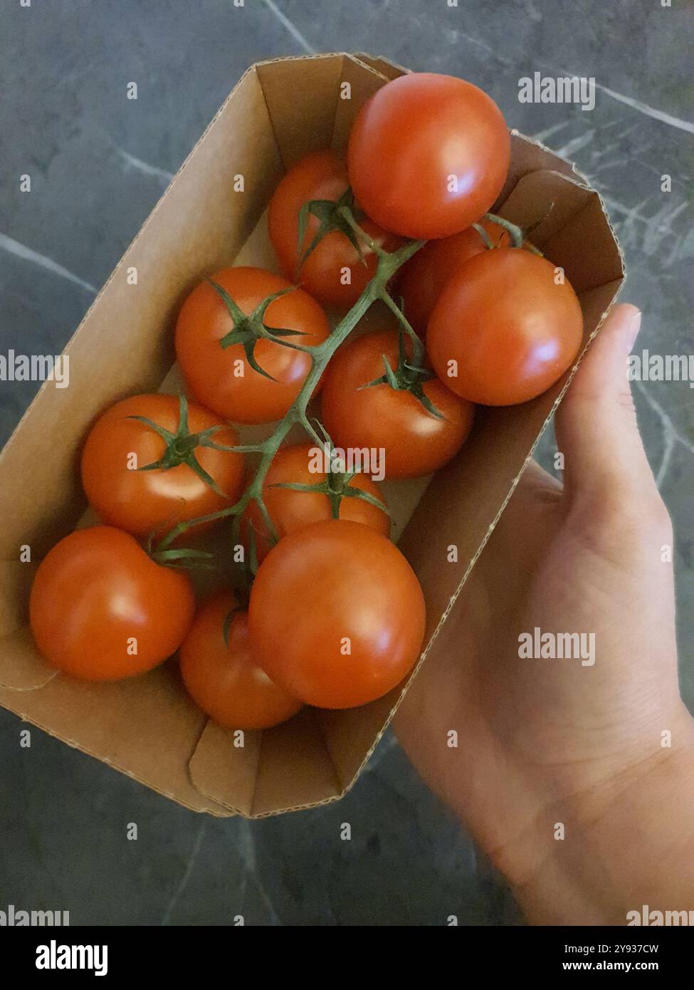 Main tenant une boîte cartonnée de tomates rouges mûres avec des tiges Banque D'Images
