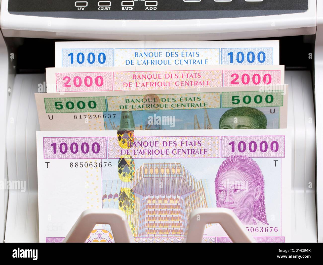 Monnaie centrafricaine - franc CFA dans la machine à compter Banque D'Images