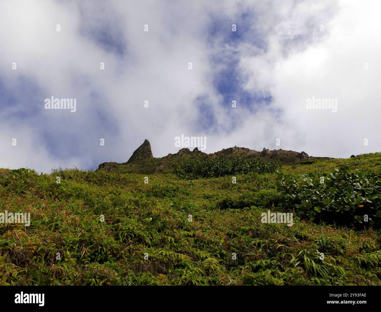 Paysage volcanique du pic de la soufrière dans le parc national de la guadeloupe. Plus haute montagne dans les petites antilles et stratovolcan actif. Banque D'Images