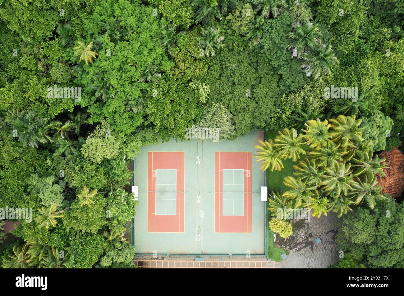 Nettoyez les courts de tennis vides au-dessus de la vue de drone de dessus parmi les arbres verts arrière-plan Banque D'Images