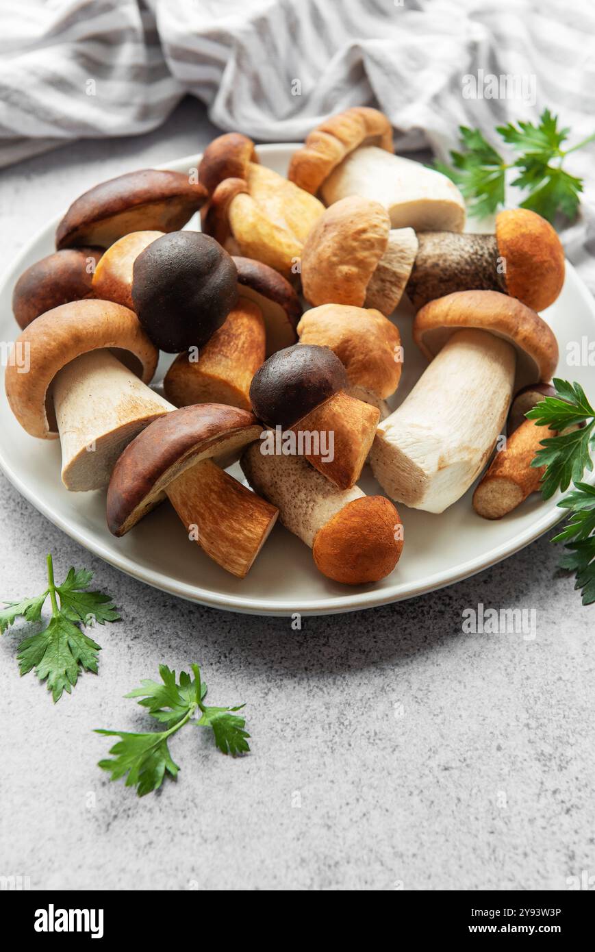 Une variété de champignons frais disposés soigneusement sur un plateau circulaire, accompagnés de persil, posés contre un comptoir gris clair qui rehausse leur EA Banque D'Images