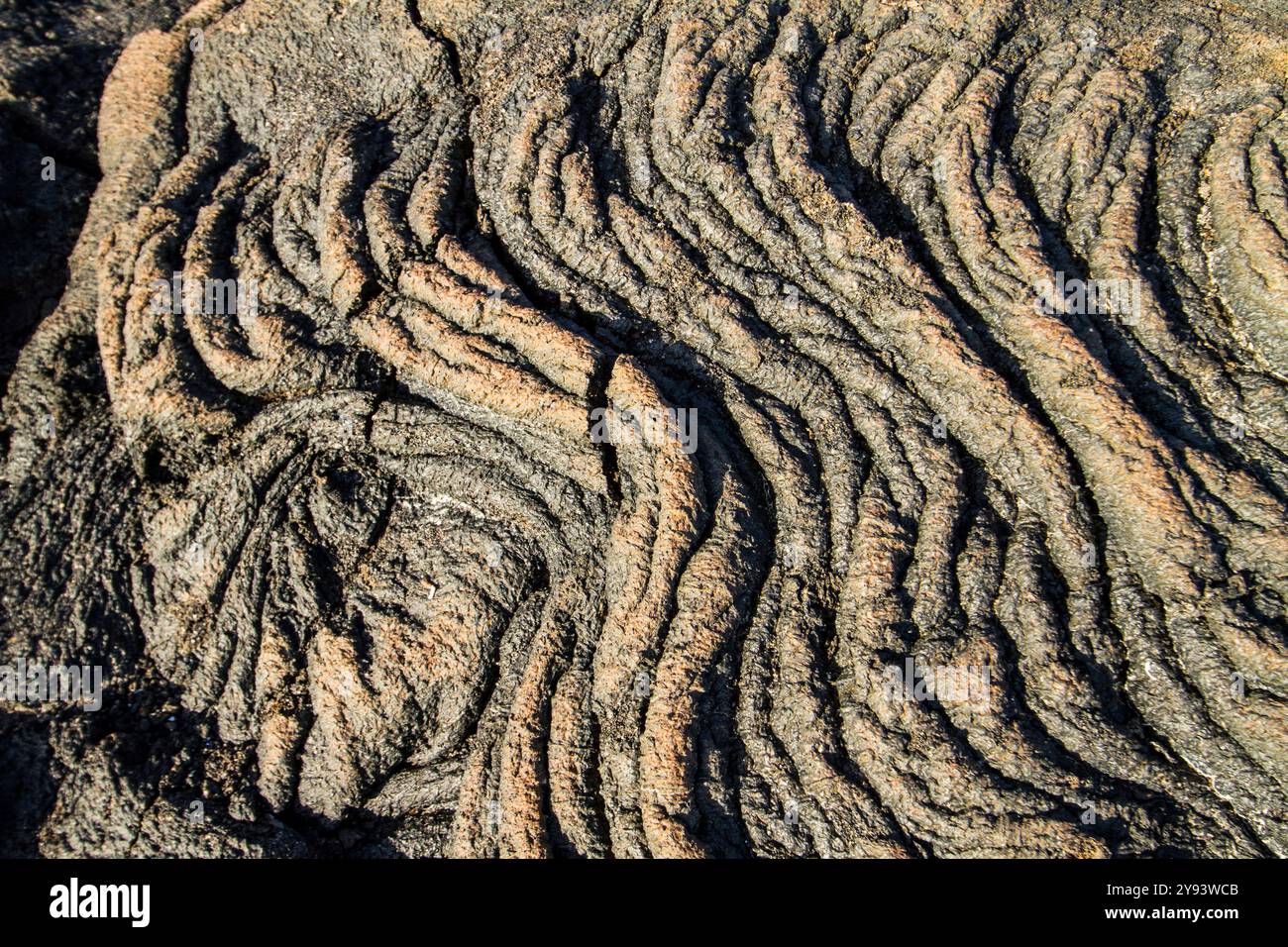 Floes de lave et de cendres dans l'archipel des îles Galapagos, site du patrimoine mondial de l'UNESCO, Équateur, Amérique du Sud Banque D'Images