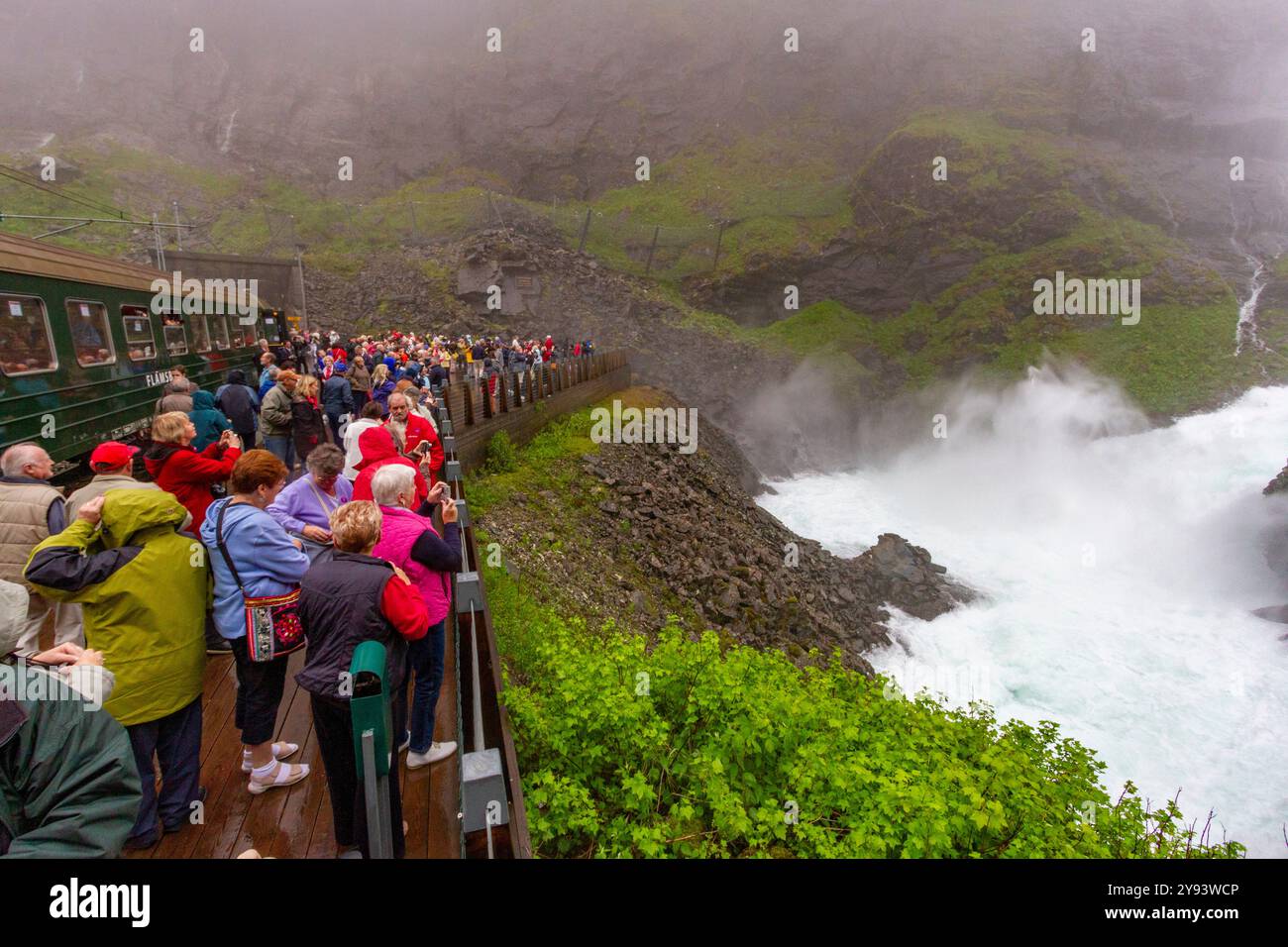Vue d'une cascade sur la ligne ferroviaire de Bergen de Myrdal à la ville de Flam, Norvège, Scandinavie, Europe Banque D'Images