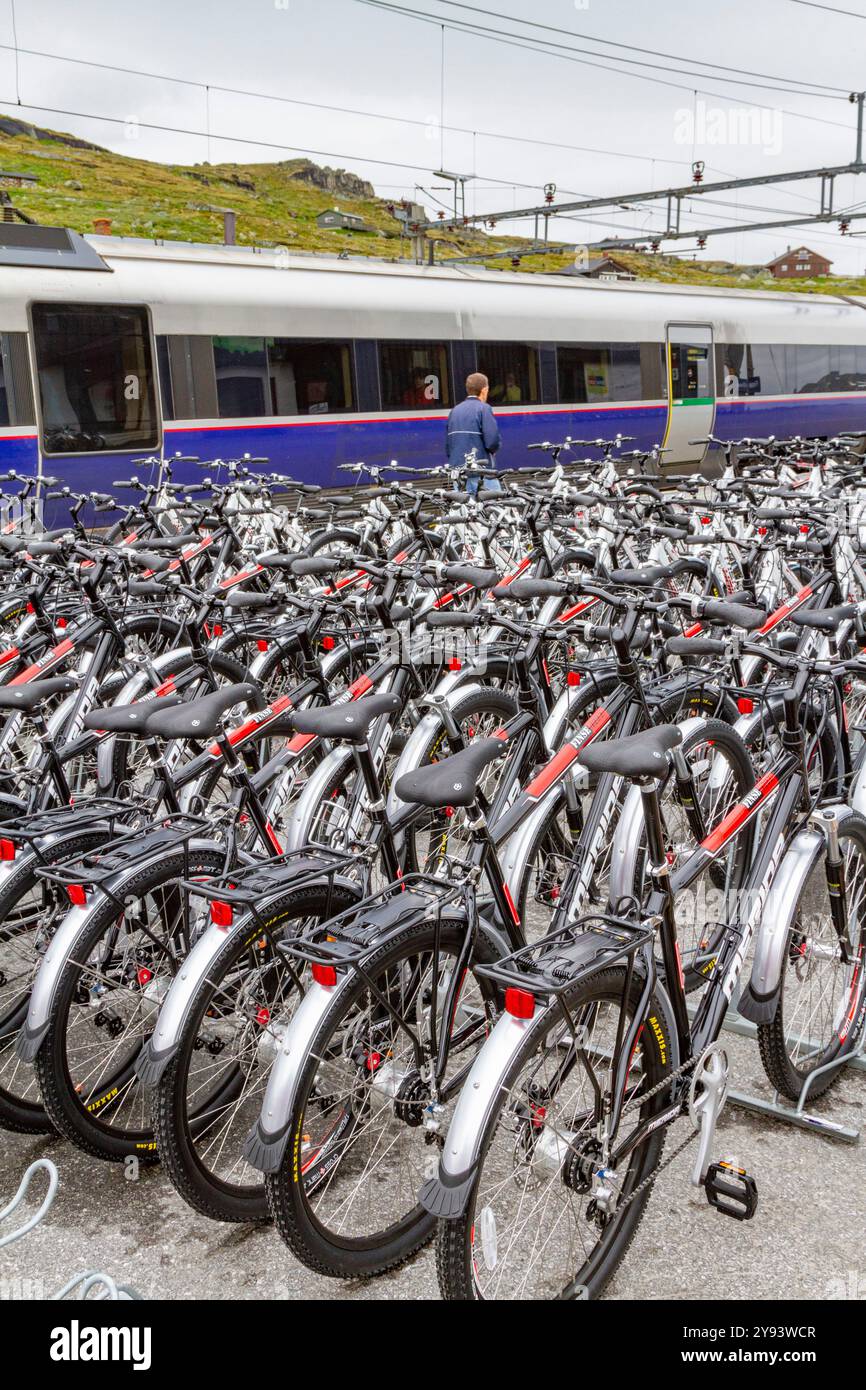 Vues de vélos de location sur la ligne ferroviaire de Bergen de Myrdal à la ville de Flam, Norvège, Scandinavie, Europe Banque D'Images