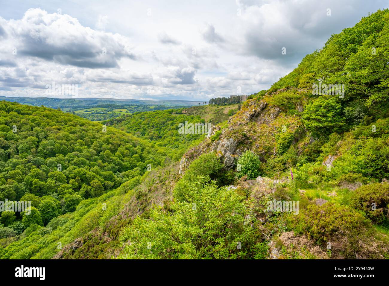 Les bois au-dessus de la rivière Teign et Sharp Tor près du château Drogo Devon Banque D'Images