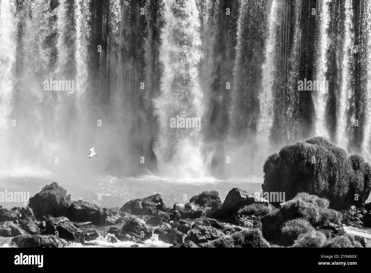 Paysage noir et blanc de l'eau qui tombe sur le bord des chutes d'eau. Chutes Victoria, Zimbabwe, Afrique Banque D'Images