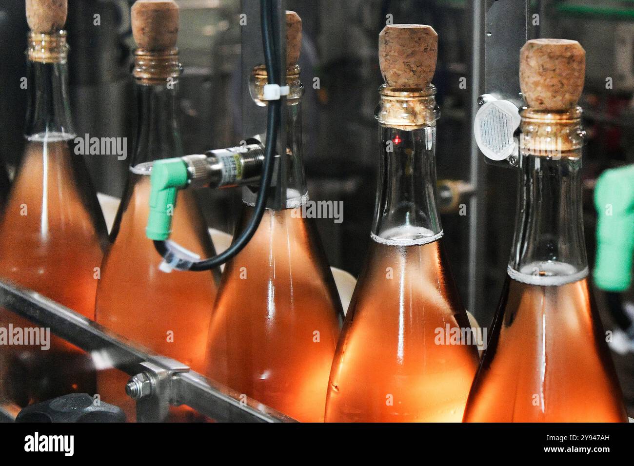 Stary Plzenec, République tchèque. 08 octobre 2024. Le producteur de vin mousseux Bohemia sekt présente sa nouvelle ligne d'embouteillage, l'un des plus gros investissements de la société depuis 20 ans à Stary Plzenec, République tchèque, le 8 octobre 2024. Crédit : Miroslav Chaloupka/CTK photo/Alamy Live News Banque D'Images