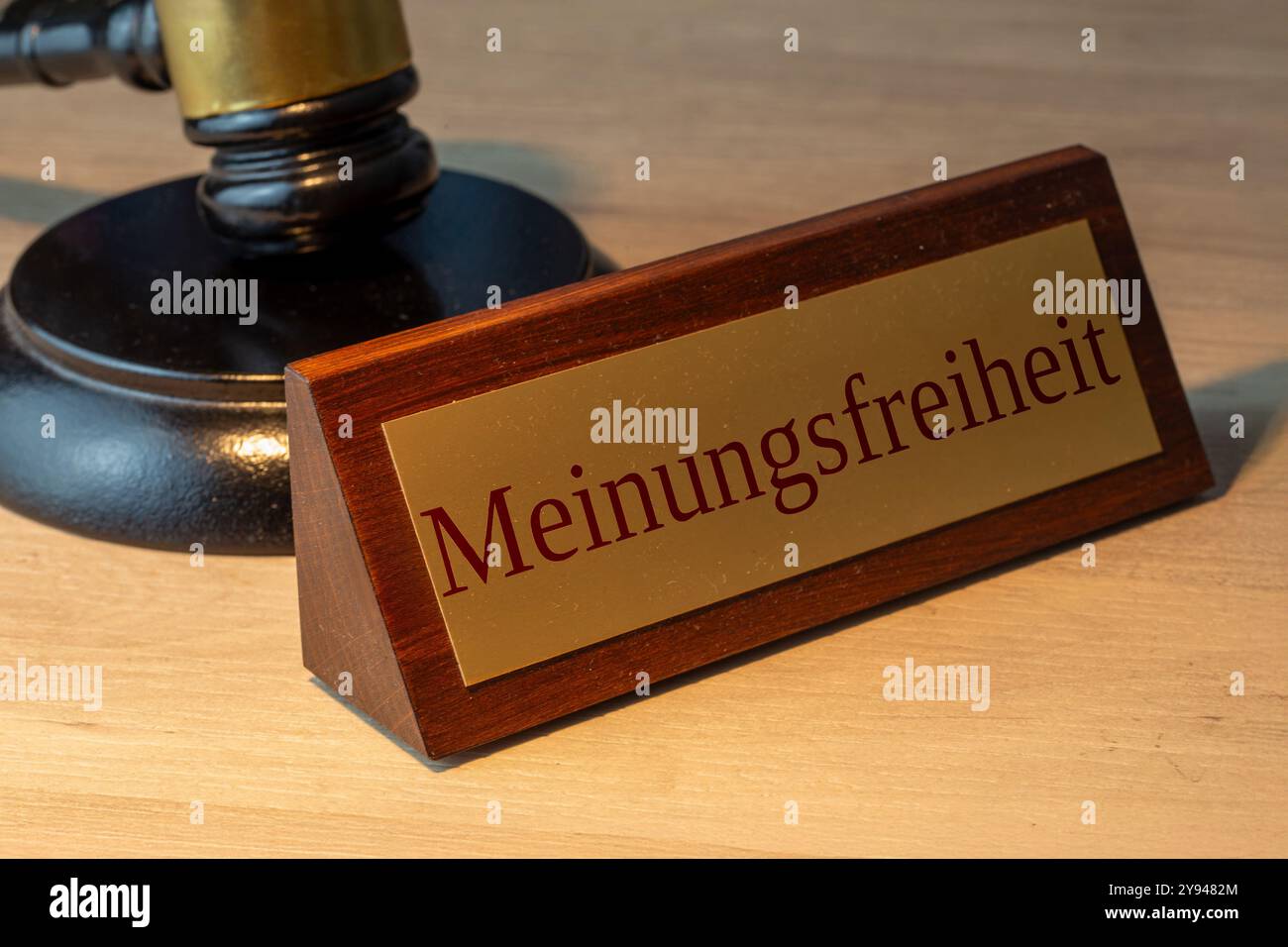 Image symbole de la liberté d'opinion en Allemagne : gros plan d'un signe en laiton avec le mot MEINUNGSFREIHEIT (liberté d'opinion) Banque D'Images