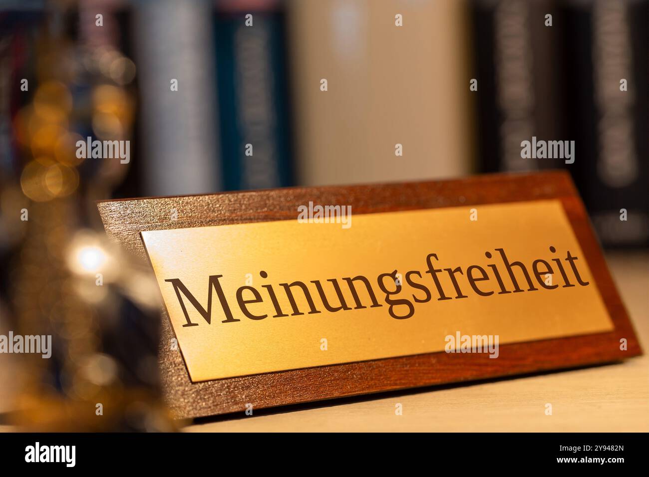 Image symbole de la liberté d'opinion en Allemagne : gros plan d'un signe en laiton avec le mot MEINUNGSFREIHEIT (liberté d'opinion) Banque D'Images
