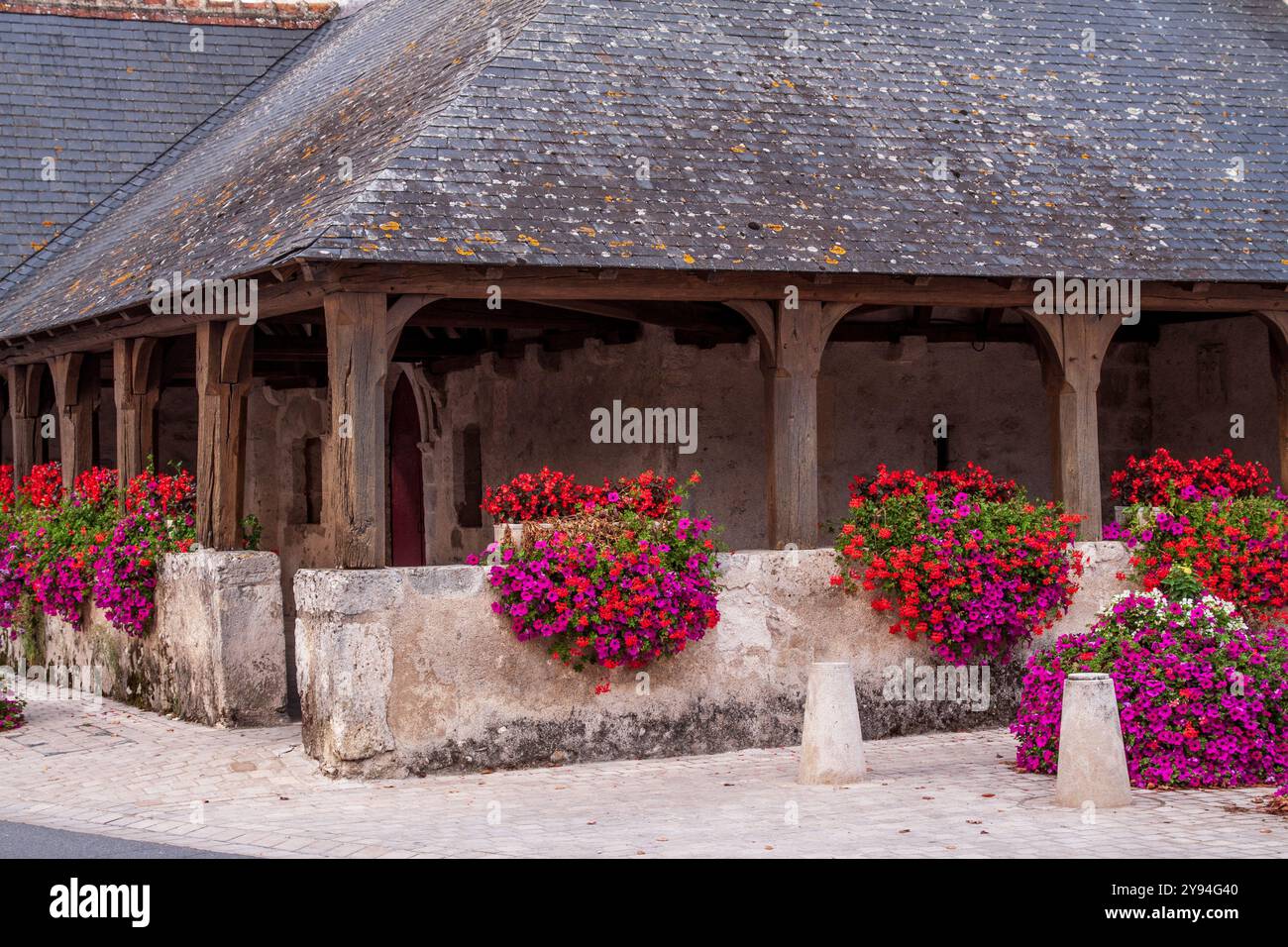 Porche enveloppant de l'église du 12ème siècle, Église Saint-Étienne, dans le pittoresque village français de Cheverny, connu surtout pour son Château, France Banque D'Images