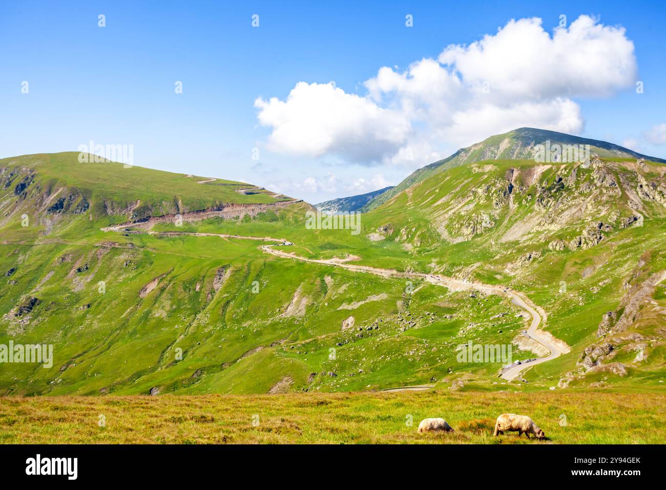 Transalpina, Săliște, Novaci, Sebes, route panoramique, România Banque D'Images