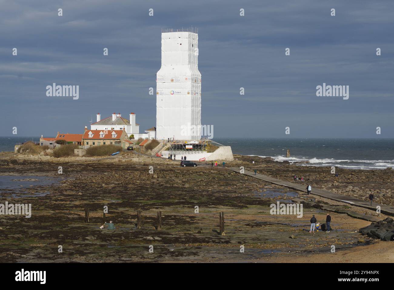 Whitley Bay, Angleterre, 6 octobre 2024. Le phare de l'île Sainte-Marie est recouvert d'échafaudages et de bâches pour permettre des rénovations. Crédit : Colin Edwards Banque D'Images