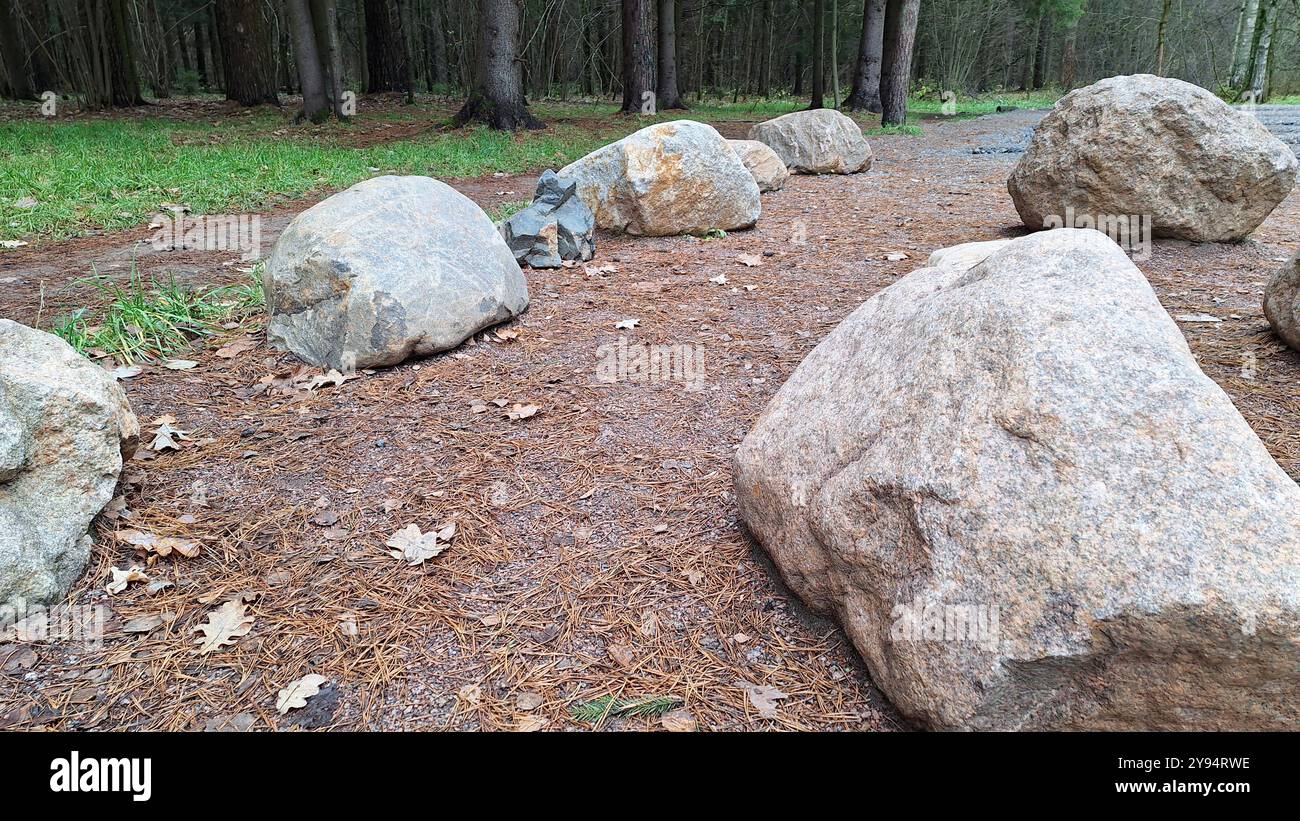 Grandes pierres bordant un chemin forestier au milieu des pins en automne Banque D'Images
