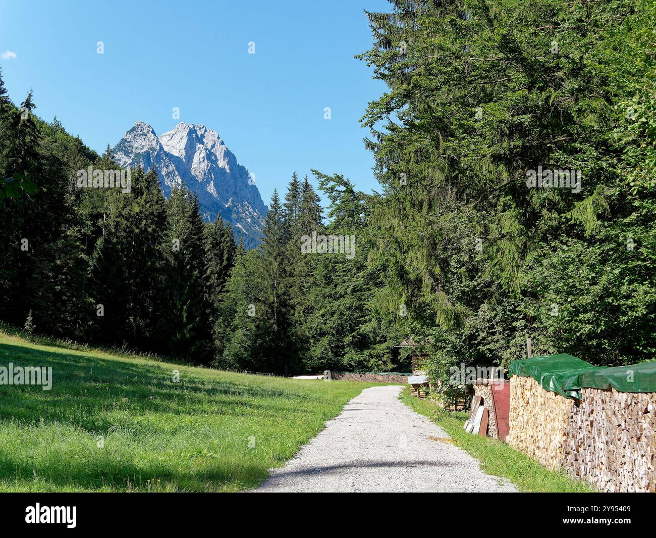 Prairie de montagne avec sentier de randonnée, montagnes en arrière-plan, arbres devant et tas de bois Banque D'Images