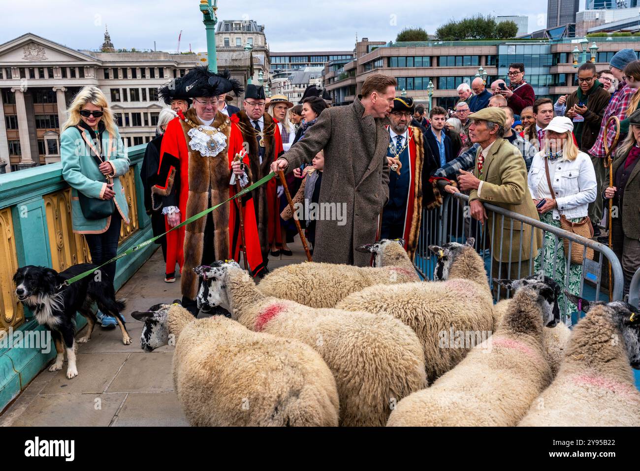 L'acteur hollywoodien Damian Lewis dirige la promenade annuelle des moutons à travers le pont Southwark avec le maire de Londres, Londres, Royaume-Uni. Banque D'Images