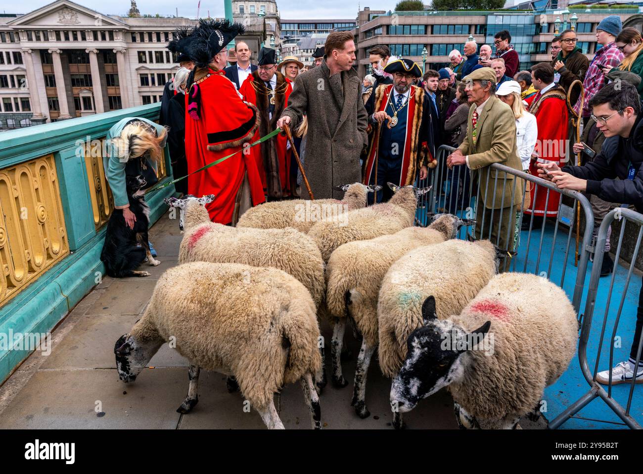 L'acteur hollywoodien Damian Lewis dirige la promenade annuelle des moutons à travers le pont Southwark avec le maire de Londres, Londres, Royaume-Uni. Banque D'Images