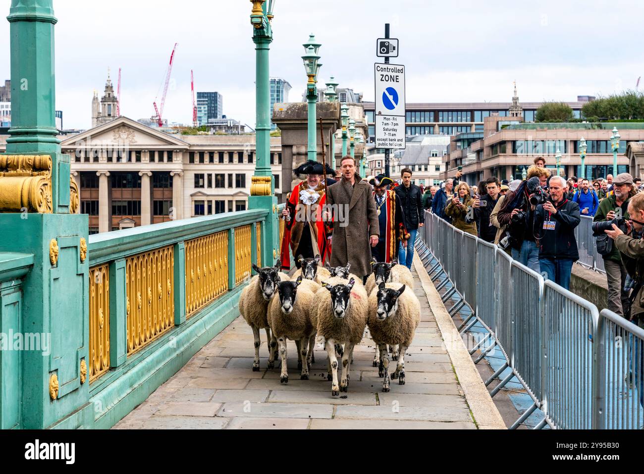 L'acteur hollywoodien Damian Lewis dirige la promenade annuelle des moutons sur le pont Southwark lors d'un événement organisé par la Worshipful Company of Woolmen, Londres, Royaume-Uni. Banque D'Images