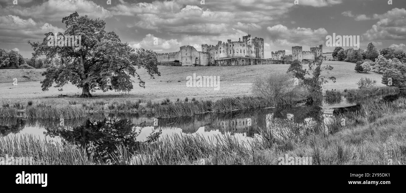 L'image représente le château d'Alnwick dans le Northumberland sur la côte nord-est de l'Angleterre et le site du film Robin Hood Prince of Thieves de Kevin Costner Banque D'Images