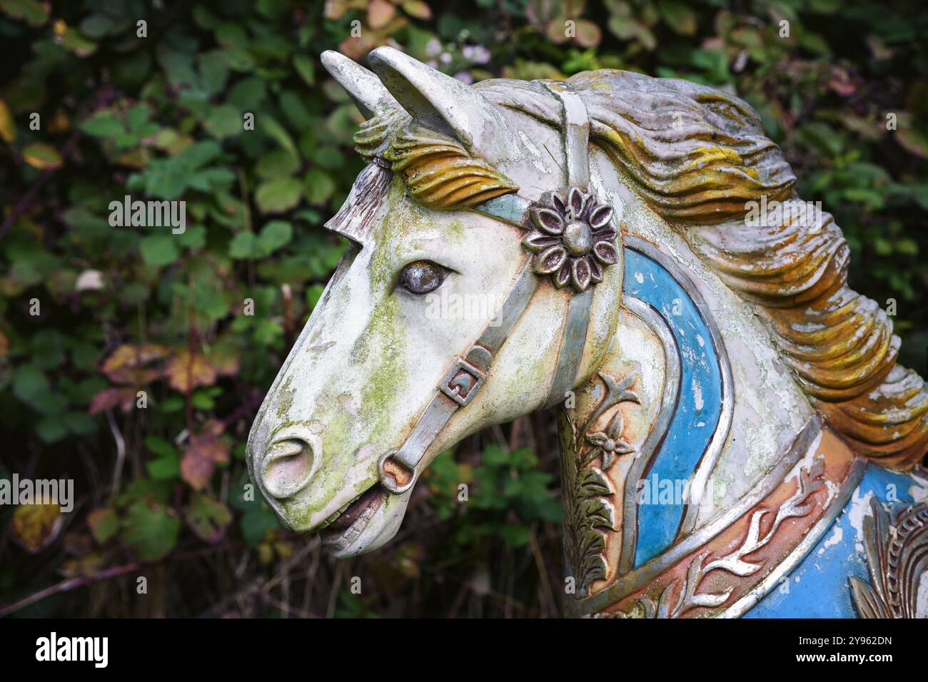 Tête d'un vieux cheval de carrousel en bois dans une cour arrière, altérée et partiellement recouverte de mousse mais toujours belle, espace copie, foyer sélectionné Banque D'Images