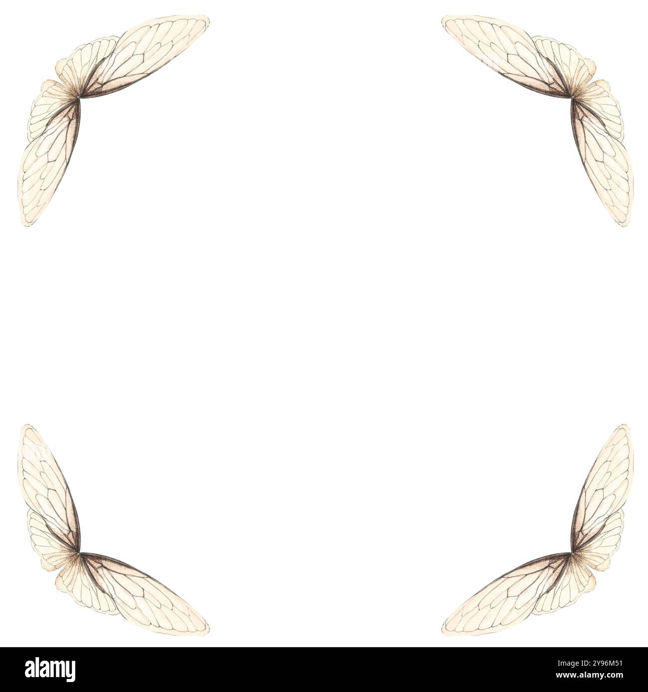 Ailes d'insecte peint à la main cadre carré aquarelle isolé sur blanc. Illustration de haute qualité parfaite pour scrapbooking, affiches, bannières, cartes Banque D'Images