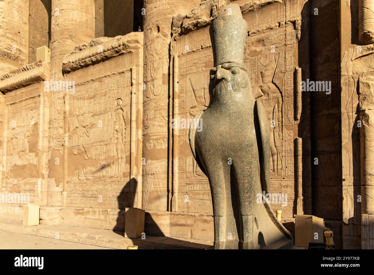 Explorez le temple d'Edfou et émerveillez-vous devant la statue d'Horus, le roi du faucon, dont la couronne symbolise son autorité divine sur l'Égypte dans le pays. Banque D'Images