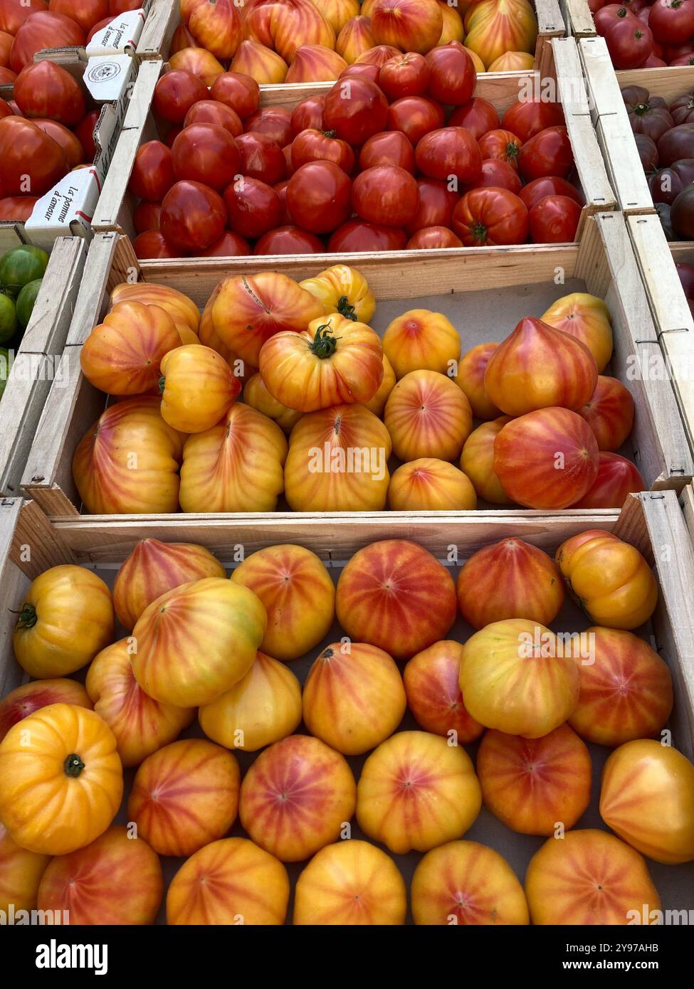 Tomates de bœuf exposées sur un marché en Provence, France - Image de stock capturée avec un smartphone