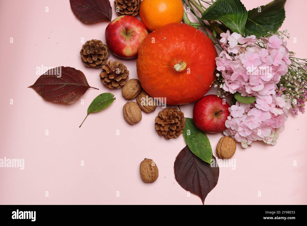 Nature morte d'automne avec citrouilles, pommes et fleurs d'hortensia sur fond rose avec espace pour le texte Banque D'Images