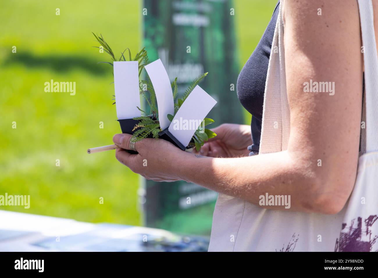 Femme tient de petites plantes dans des pots avec des étiquettes vierges sur un marché de fermiers, prête à écrire les noms Banque D'Images