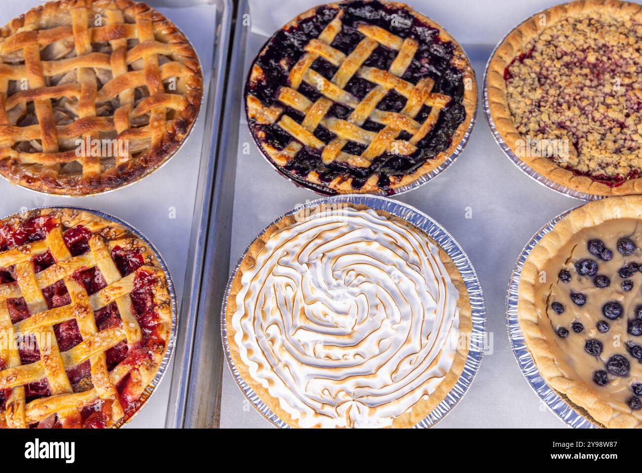 Tartes aux fruits fraîchement cuites avec diverses croûtes refroidissant sur une plaque à pâtisserie, mettant en valeur des saveurs de myrtille, de pomme et de rhubarbe avec des garnitures de treillis ou de meringue. Mise au point sélective Banque D'Images