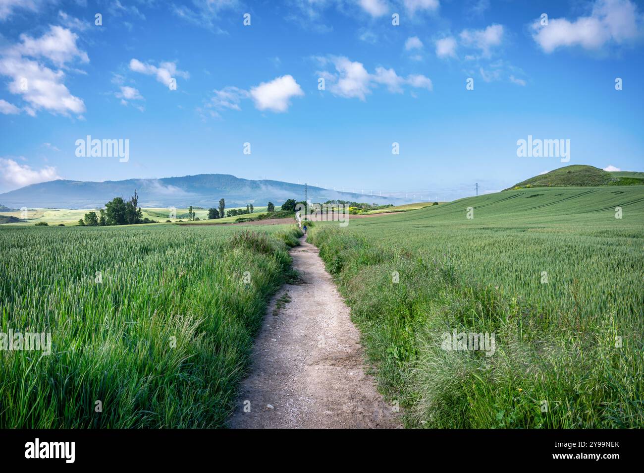 Le sentier Camino menant aux montagnes et au Mirador Alto del Perdón Banque D'Images