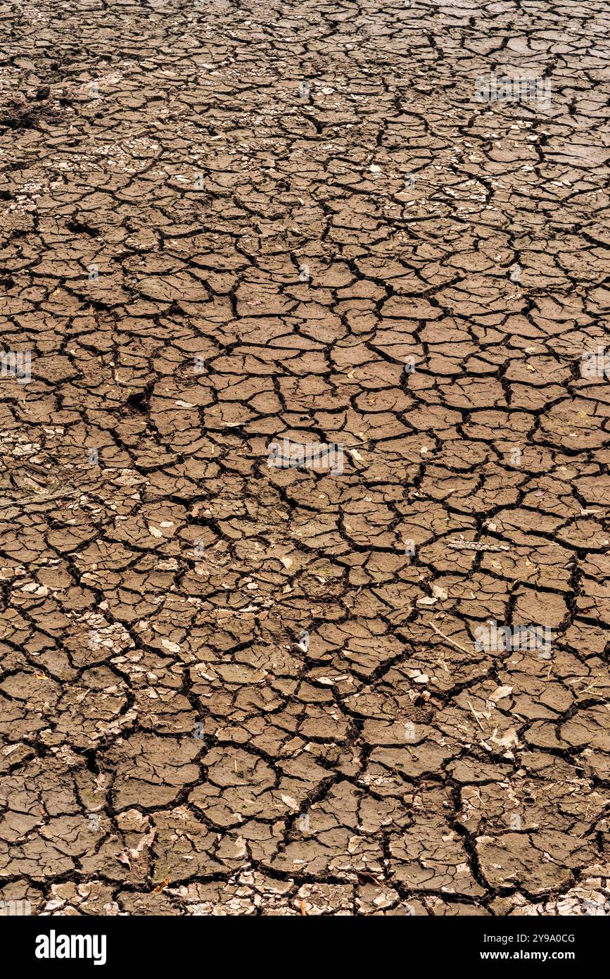 Dry Laguna de Los Milagros à Tingo Maria, Huánuco, Pérou, Amazonie péruvienne. Banque D'Images